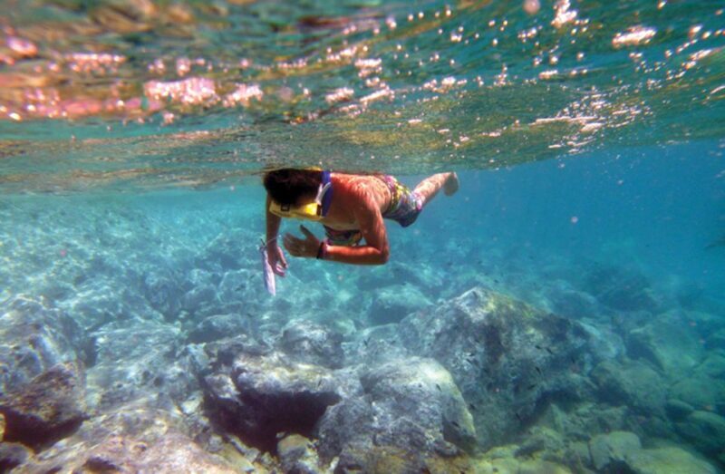 Heraklion: Private sailing to Dia Island with Lunch - Key Points