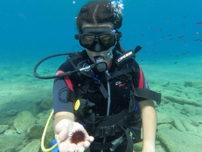 Heraklion: Scuba Diving Experience for Beginners - Who Should Consider This Experience?