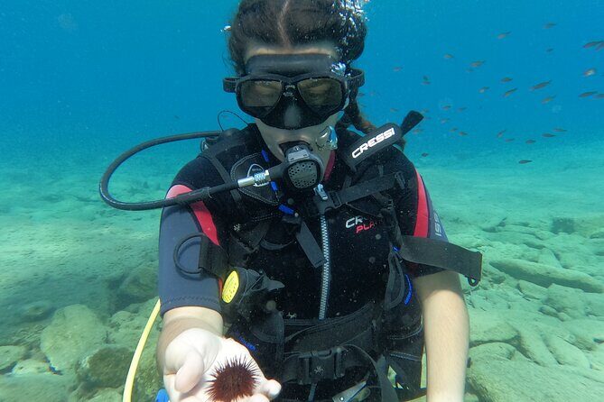 Heraklion: Scuba Diving Experience for Beginners - Key Points