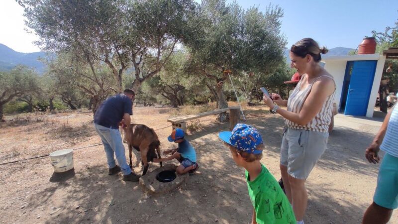 Heraklion: Self-Driving 4X4 Jeep Off-Road Tour with Lunch - Practical Considerations