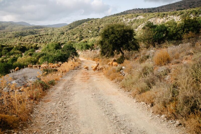 Heraklion: Self-Driving 4X4 Jeep Off-Road Tour with Lunch - Authentic Insights from Travelers