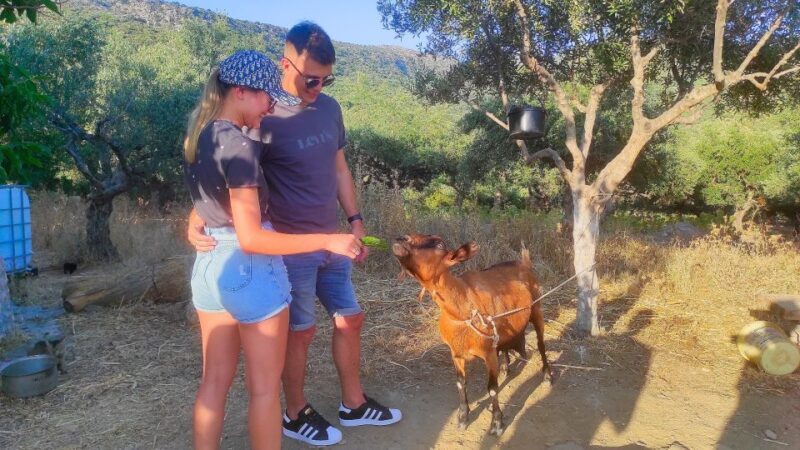 Heraklion: Self-Driving 4X4 Jeep Off-Road Tour with Lunch - The Sum Up