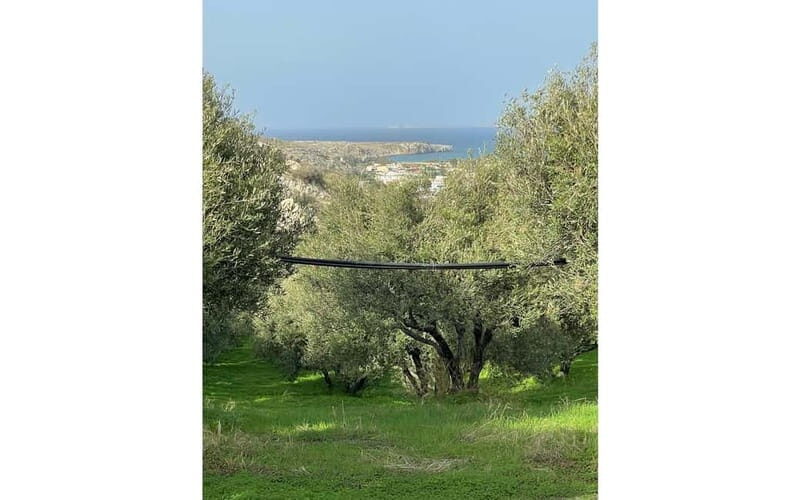 Heraklion: Sunset BBQ in the Olive Grove - FAQ