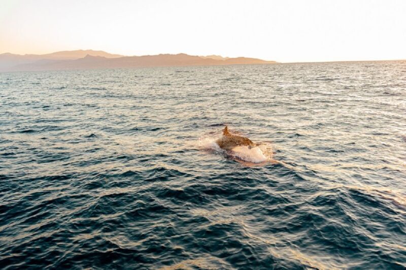 Heraklion: Sunset Private Sailing Trip to Dia island - Final Thoughts