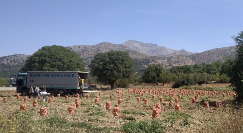 Heraklion to Spinalonga and Lasithi Plateau Land of Zeus - The Practicalities