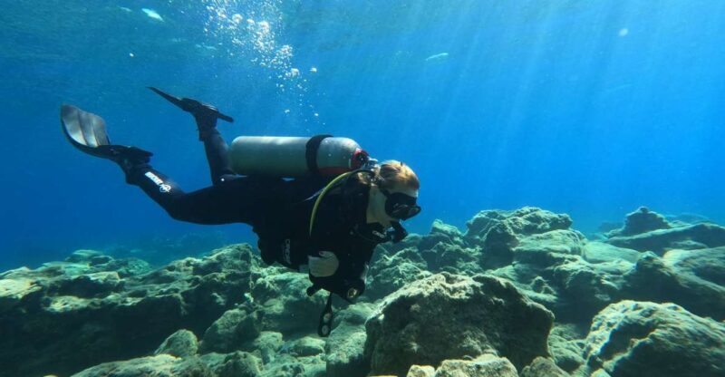 Heraklion: Try Scuba Diving For Beginners (1 dive) - What to Expect from the Crete Beginner Scuba Tour