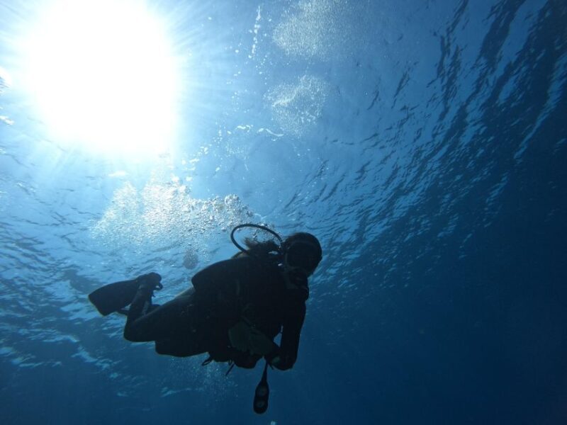 Heraklion: Try Scuba Diving For Beginners (1 dive) - Authentic Experiences and Highlights from Reviews