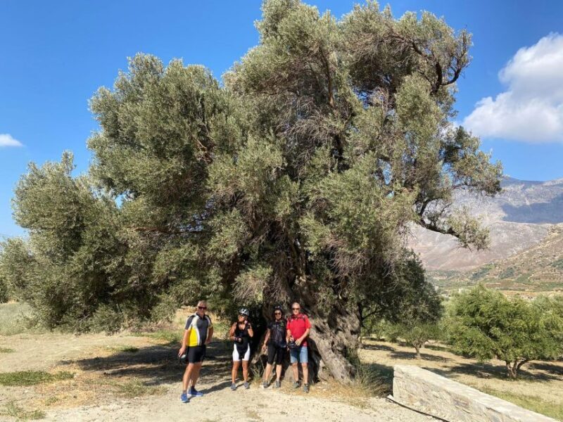 Heraklion: Wine Tasting E-Bike Tour - FAQ