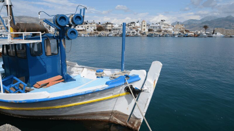 Heraklion:Cruise to Chrissi island natural park with pick up - The Sum Up