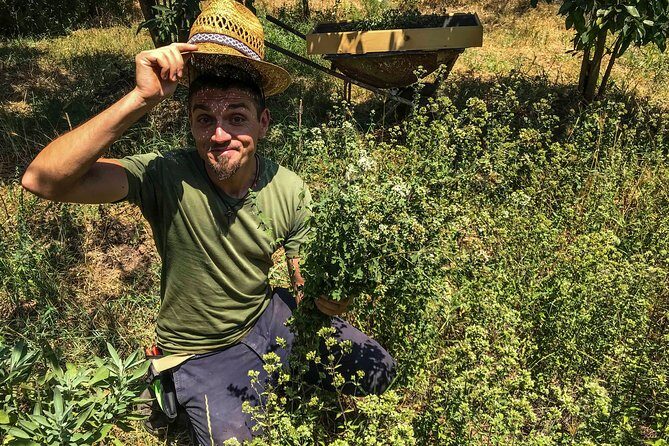 HERBS LAB - from plant to glass - An in-depth look at the HERBS LAB experience