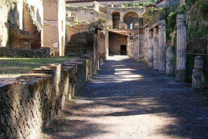 Herculaneum Archaeological Private Tour - Key Points