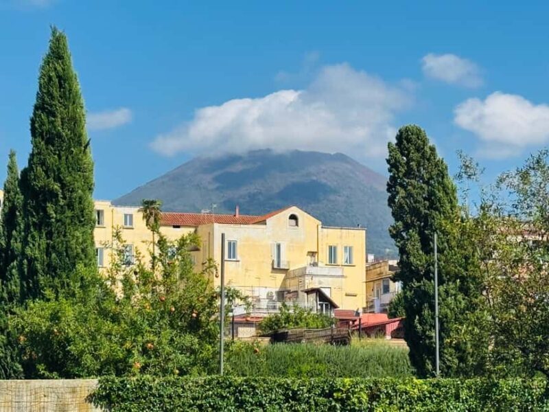 Herculaneum: experience with an archaeologist in a small group of up to 10 people - A Deep Dive into the Herculaneum Small-Group Tour