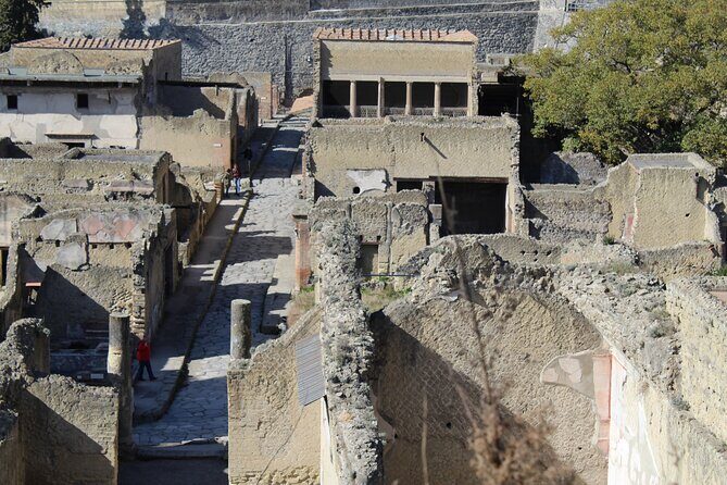 Herculaneum Private Guided Tour Led by a Local Top-rated Guide - All inclusive - The Sum Up: Who Should Consider This Tour?