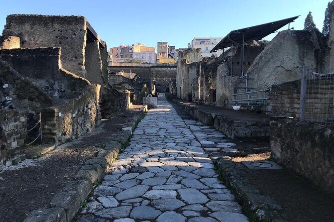 Herculaneum - Private Tour (skip-the-line admission included) - Exploring Herculaneum: A Well-Preserved Slice of Ancient Rome