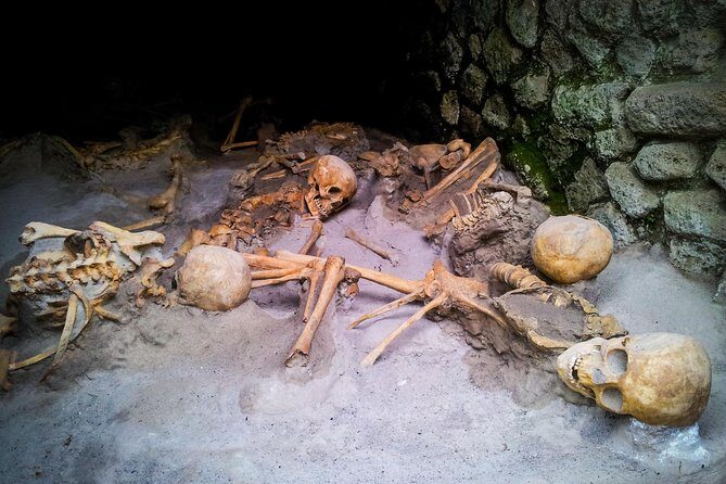 Herculaneum Private Tour with wine and lunch option on Vesuvius - A Closer Look at the Herculaneum Private Tour
