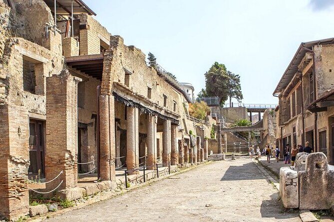 Herculaneum ruins and Naples Center Full Day Private Tour From Rome - Practical Details and Tips