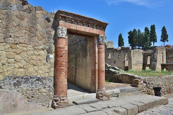 Herculaneum VIP Tour with Lunch from Naples - What Travelers Say: Honest Feedback