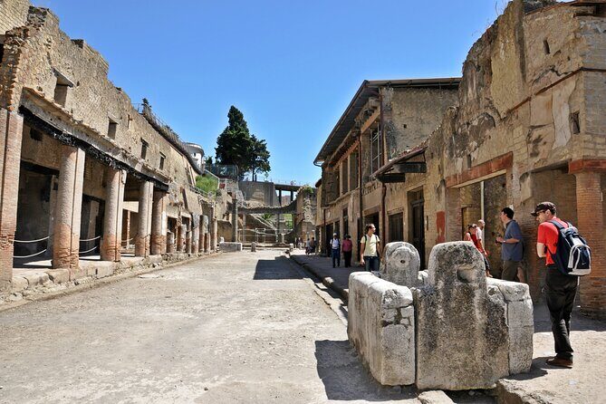 Herculaneum VIP Tour with Lunch from Naples - The Value of This Tour