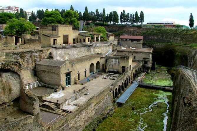 Herculaneum walking tour with a professional Guide - Why Choose This Tour?
