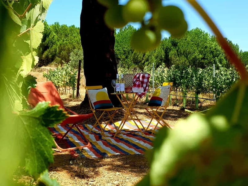 Herdade Canal Caveira - Visit Winery & Picnic - Key Points