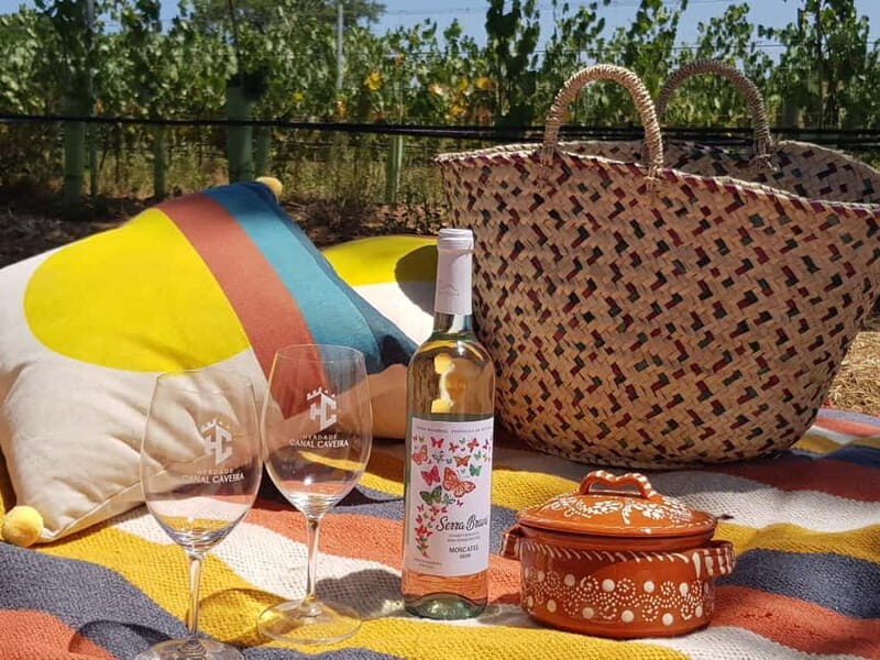 Herdade Canal Caveira - Visit Winery & Picnic - Exploring the Experience: A Deeper Look