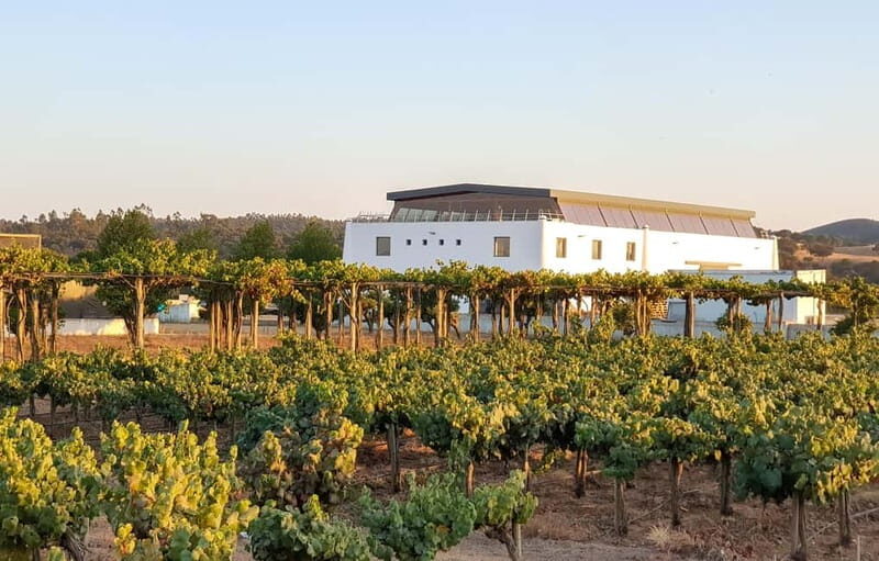 Herdade Canal Caveira - Winery Visit 4 Red's Wines & Tapas - Key Points