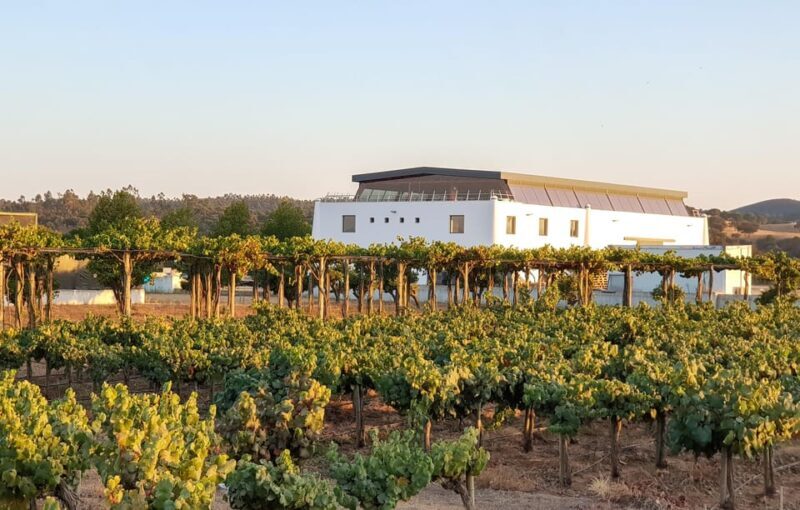 Herdade Canal Caveira Winery Visit with TOP5 Wines & Tapas - Wine Tasting and Tapas