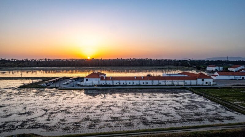 Herdade da Comporta Reserve Winetasting - Who Will Love This Tour?