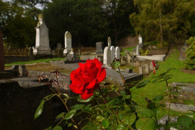 Heritage City and Larnach Castle Van tour with Historian Guide - Introduction: A Guide to Dunedin’s Heritage and Secrets