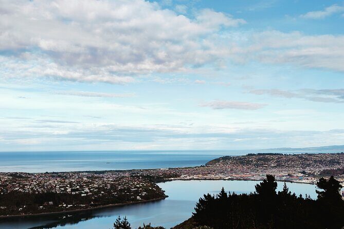Heritage City and Larnach Castle Van tour with Historian Guide - What Could Be Better?