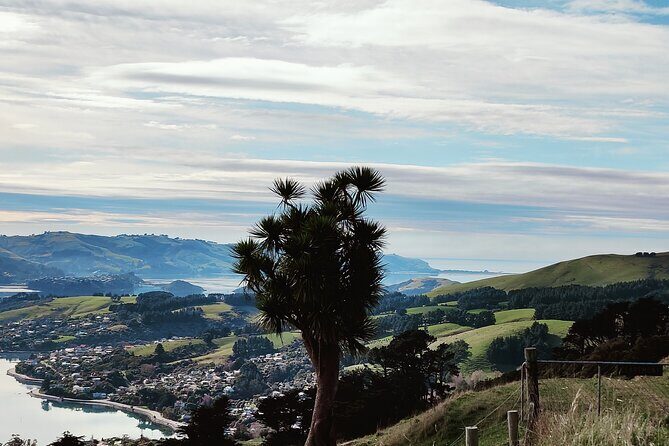 Heritage City and Larnach Castle Van tour with Historian Guide - Final Thoughts: Who Will Love This Tour?