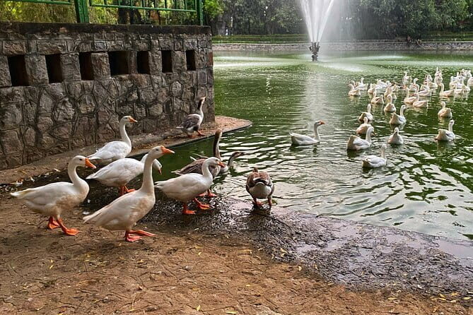 Heritage Delhi Private Walking & Shopping Tour - What’s Included & What’s Not