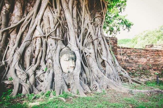 Heritage Tour in Ayutthaya by Cruise - Who Will Love This Tour?