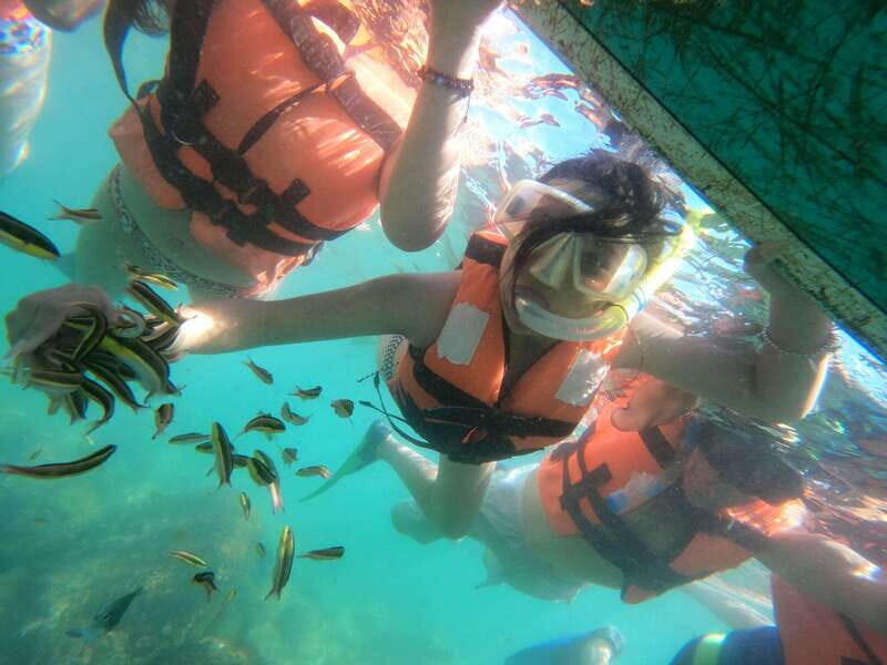 Hermosa Isla de ixtapa - Introduction: What to Expect from Hermosa Isla de Ixtapa