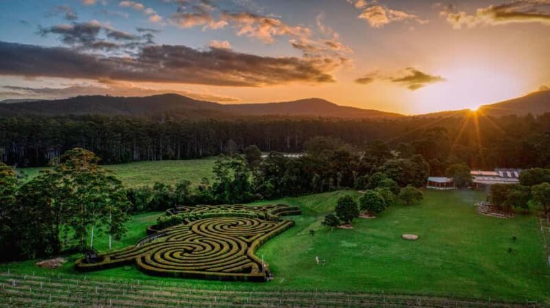 Herons Creek: Bago Maze Entry Ticket - The Sum Up