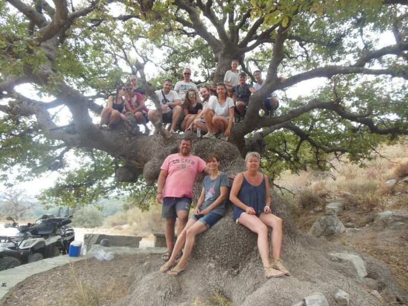 Hersonisos - Malia :off-road quad safari with transfer+Lunch - The Sum Up