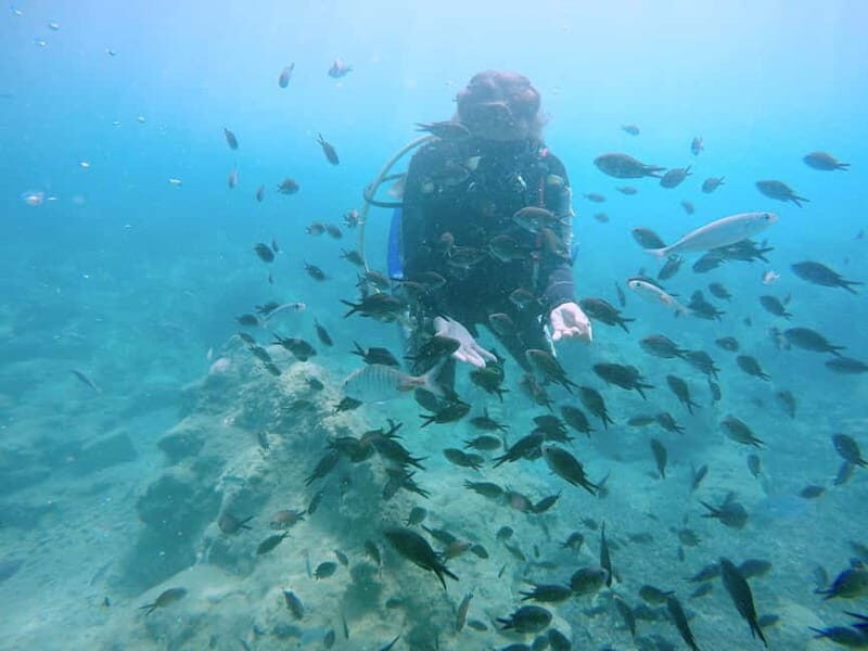 Hersonissos, Stalida: Scuba Diving Experience for beginners - Key Points