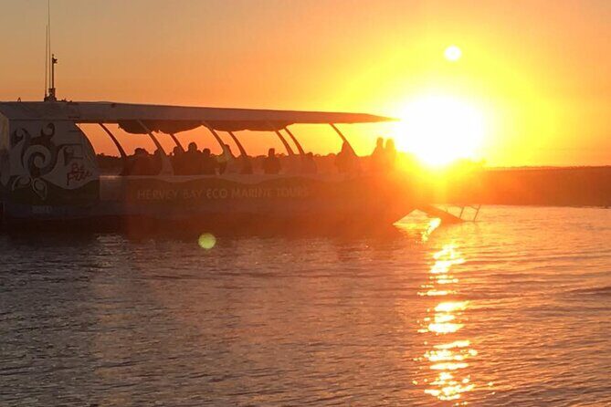 Hervey Bay Champagne Sunset Sail - Who Should Consider This Tour