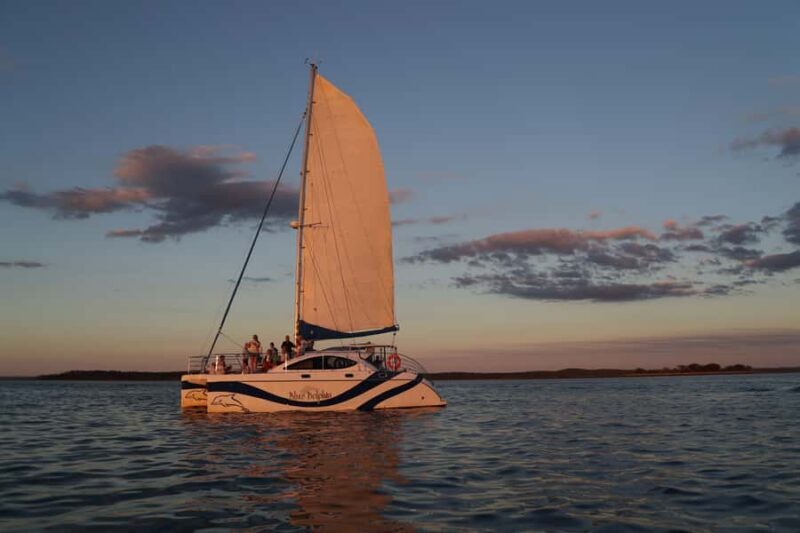 Hervey Bay Champagne Sunset Sail - Wildlife and Nature: An Unexpected Bonus