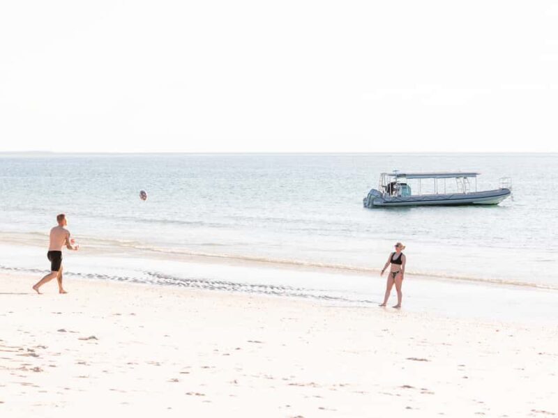 Hervey Bay: Exclusive Island Hopper Adventure Cruise - The Practical Details: Price, Timing, and Comfort