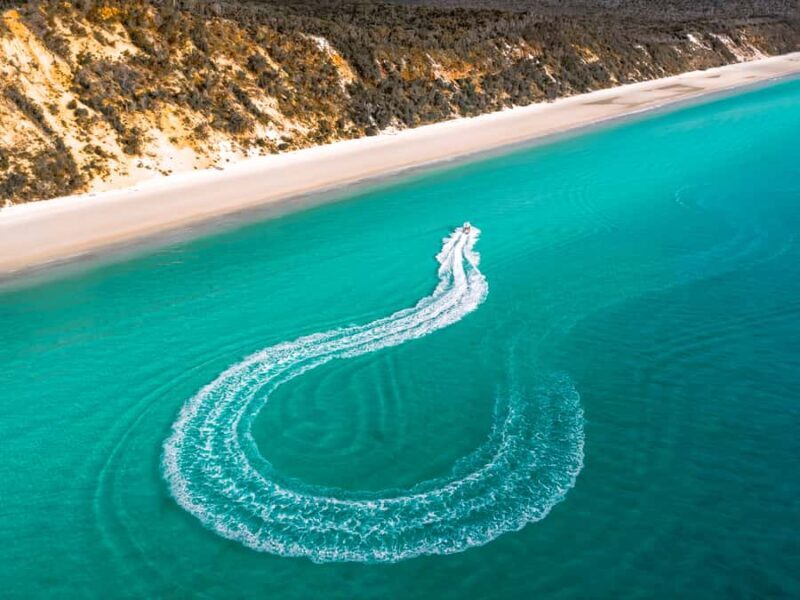 Hervey Bay: Half-Day Whale and Island Adventure by Boat - Key Points