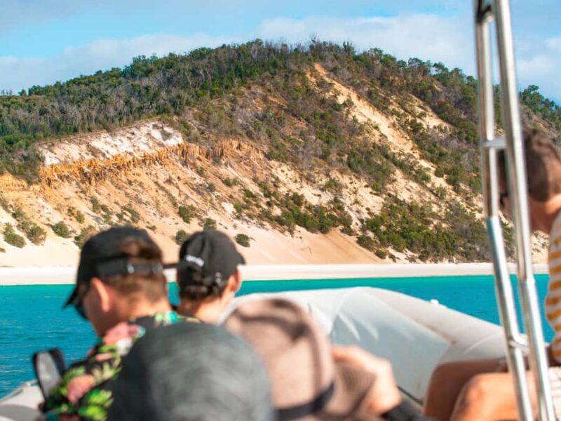 Hervey Bay: Half-Day Whale and Island Adventure by Boat - Pricing and Value