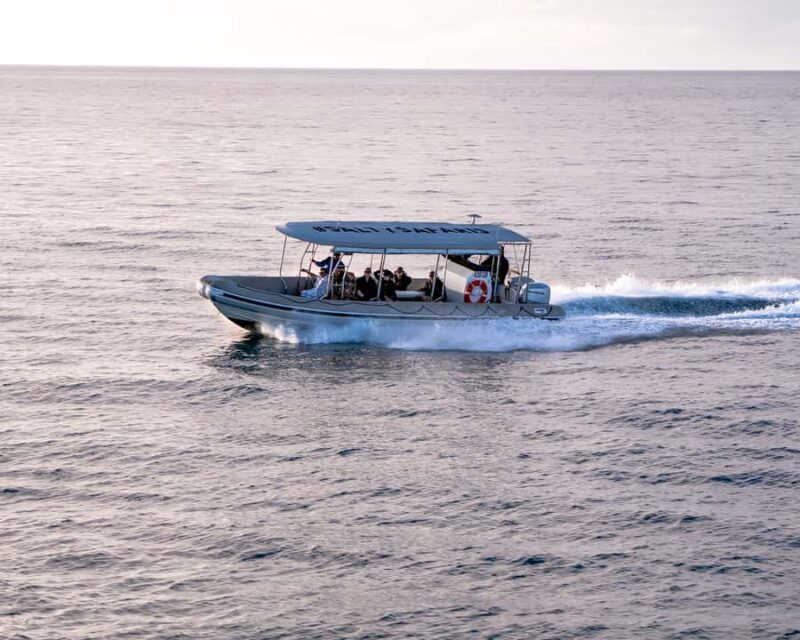 Hervey Bay: Half-Day Whale and Island Adventure by Boat - Practical Details and Tips