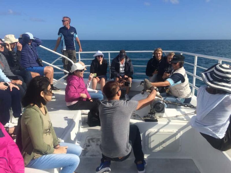 Hervey Bay: Half-Day Whale Watching Cruise with Meal - An In-Depth Look at the Experience
