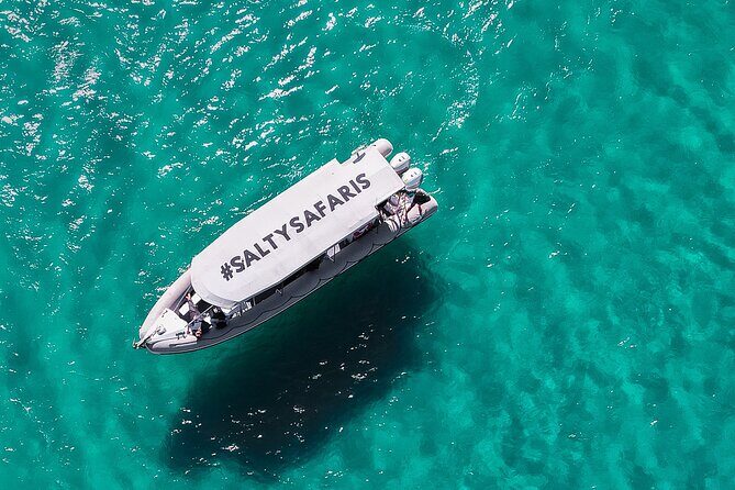 Hervey Bay: Half Day Whale watching & Island Stop Tour - The Practicalities: What Travelers Should Know