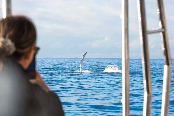 Hervey Bay: Half Day Whale watching & Island Stop Tour - Who Will Love This Tour?