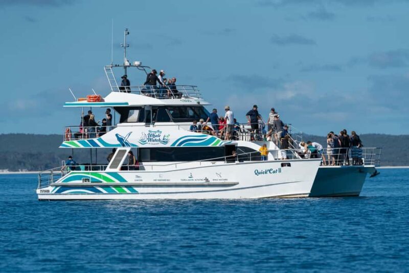 Hervey Bay: Humpback Whale-Watching Half-Day Cruise - The Sum Up: Who Will Love This Tour?