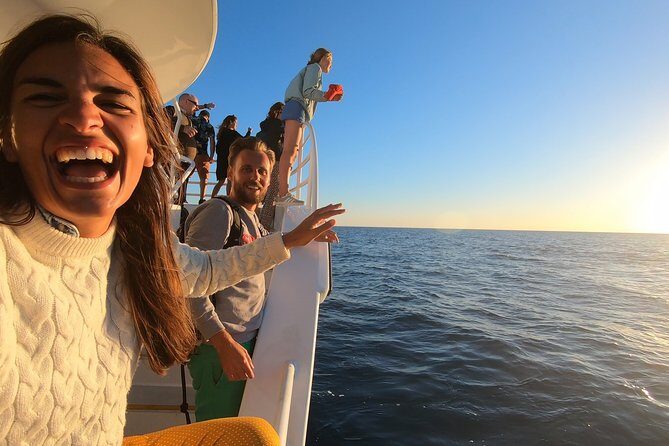 Hervey Bay Whale Watching Experience - The Sum Up