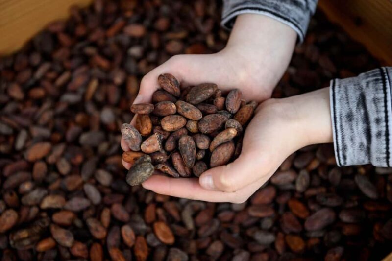 Heule: Chocolatier Vandenbulcke Chocolate Trail Tour - FAQ