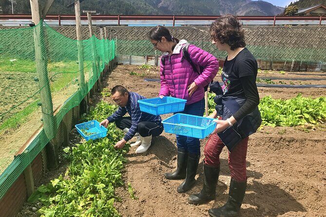 Hida Private E-Bike Tour with Premium Lunch and Farm Experience - The Real Experience: What Reviewers Say